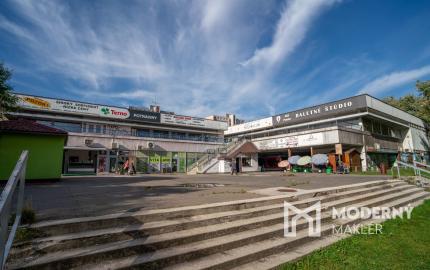 Na prenájom zrekonštruovaný 1-izbový byt s veľkorysou loggiou v tichej časti Dúbravky