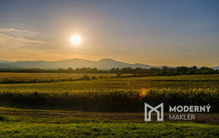 Na predaj jedinečné Tokajské vinice v najvýznamnejšej vinohradníckej oblasti
