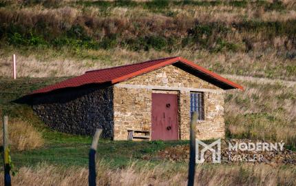 Na predaj jedinečné Tokajské vinice v najvýznamnejšej vinohradníckej oblasti