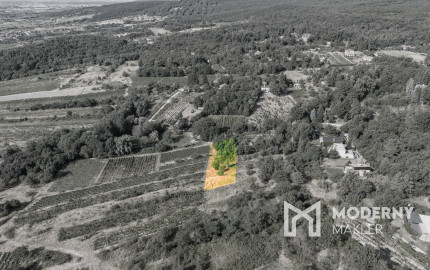 Na predaj slnečný pozemok s jedinečným výhľadom v Modre