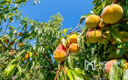 Na predaj dvojgeneračný rodinný dom s bazénom v Gabčíkove