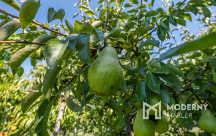 Na predaj dvojgeneračný rodinný dom s bazénom v Gabčíkove