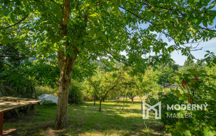 Na predaj rekreačný pozemok so záhradnou chatou v Stupave