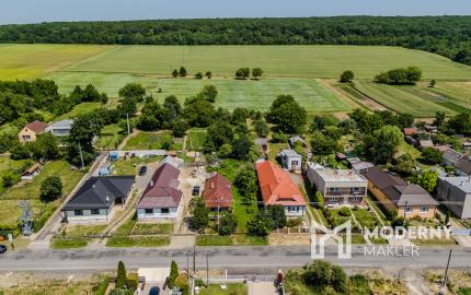 Na predaj obrovský pozemok v obci Moravany-Lučkovce v okrese Michalovce.