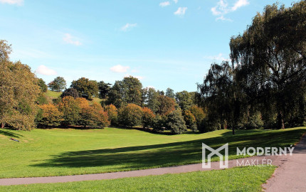 Na predaj pozemok v záhradkárskej oblasti v Košiciach - Šaca