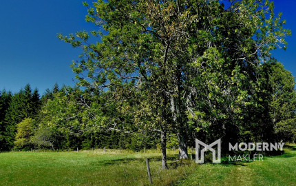 Na predaj pozemok v záhradkárskej oblasti v Košiciach - Šaca