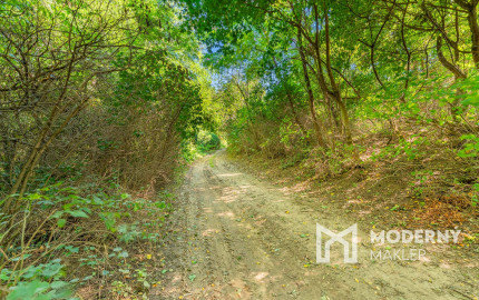 Na predaj pozemok vo Vinohradoch nad Váhom