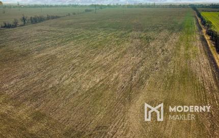 Predaj priemyselného pozemku v obci Mierovo