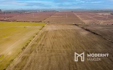 Predaj priemyselného pozemku v obci Mierovo