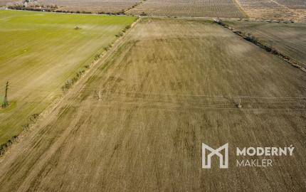 Predaj priemyselného pozemku v obci Mierovo