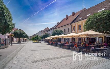 Na prenájom plne fungujúce a zariadené štúdio priamo v centre Trnavy