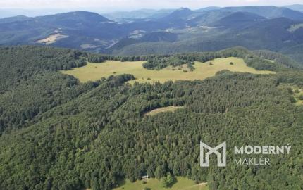 Exkluzívna ponuka Pozemkov (lesy, pasienky, lúky) v k.ú. Šípkov, okr. Bánovce n/B