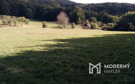 Exkluzívna ponuka Pozemkov (lesy, pasienky, lúky) v k.ú. Šípkov, okr. Bánovce n/B