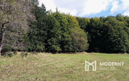 Exkluzívna ponuka Pozemkov (lesy, pasienky, lúky) v k.ú. Šípkov, okr. Bánovce n/B