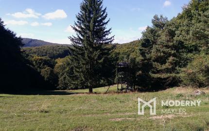 Exkluzívna ponuka Pozemkov (lesy, pasienky, lúky) v k.ú. Šípkov, okr. Bánovce n/B