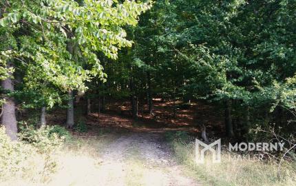 Exkluzívna ponuka Pozemkov (lesy, pasienky, lúky) v k.ú. Šípkov, okr. Bánovce n/B