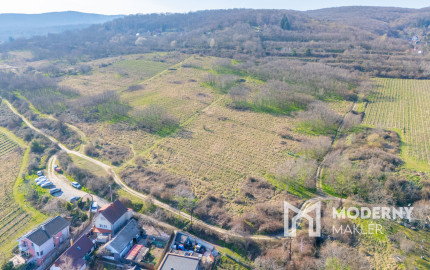 Na predaj perspektívny pozemok v Rači