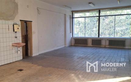 Exkluzívne na prenájom skladovacie,výrobné priestory v Prusoch , 60m2