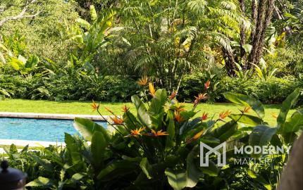 Na predaj investičná 3-izbová vila na polostrove Osa na Kostarike