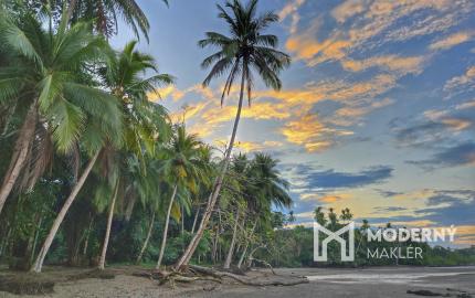 Na predaj tropická vila s možnosťou rezidentúry na polostrove Osa na Kostarike