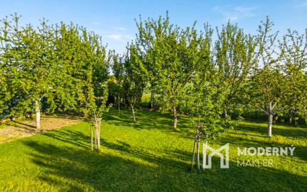 Na predaj dom s veľkým potenciálom v Dlhej nad Váhom - Šaľa