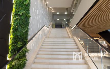 Obchodný priestor 400 m2, s oknami na ulicu, na 1. poschodí OD DARGOV, Košice - centrum