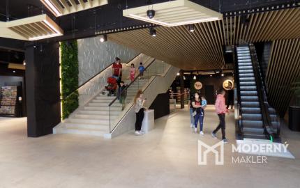 Obchodný priestor 400 m2, s oknami na ulicu, na 1. poschodí OD DARGOV, Košice - centrum