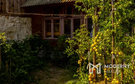 Na predaj priestranný vidiecky dom v obci Helcmanovce