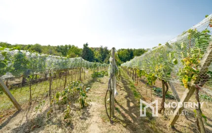 Na predaj rodinný dom v obci Vištuk