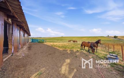 Na predaj gazdovský dom a biofarma na samote v obci Pastuchov