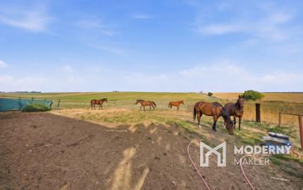 Na predaj gazdovský dom a biofarma na samote v obci Pastuchov