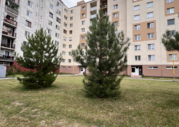 3+1 izbový byt vyhodný na rekonštrukciu, Nemšová