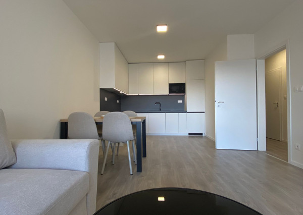 Krásne zariadený dvojizbový byt na ulici Hanzlíkovská