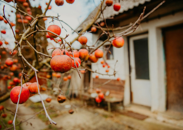Na predaj rodinný dom v obci Beluša
