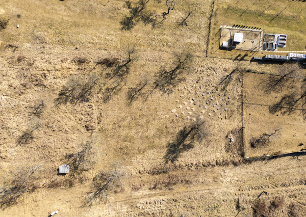 Na predaj veľkorysý pozemok v obci Šarišské Sokolovce