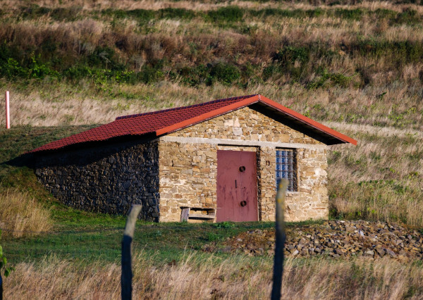 Na predaj jedinečné Tokajské vinice v najvýznamnejšej vinohradníckej oblasti