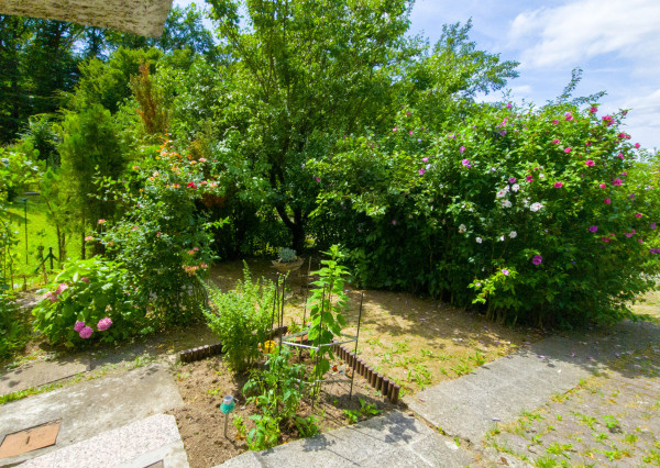 Na predaj rekreačná chata v jedinečnom prostredí Malých Karpát v Sološnici