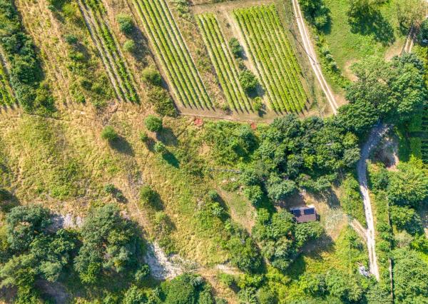 Na predaj slnečný pozemok s jedinečným výhľadom v Modre