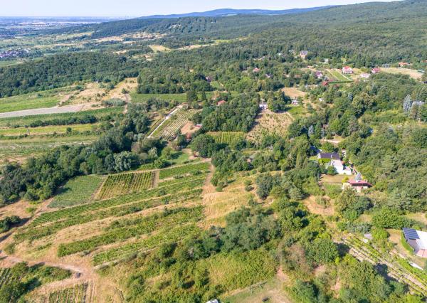 Na predaj slnečný pozemok s jedinečným výhľadom v Modre