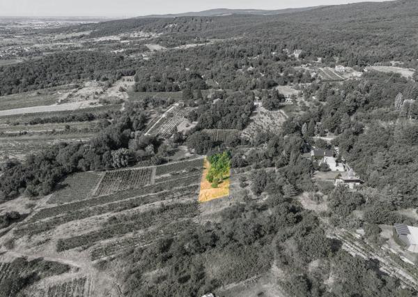 Na predaj slnečný pozemok s jedinečným výhľadom v Modre