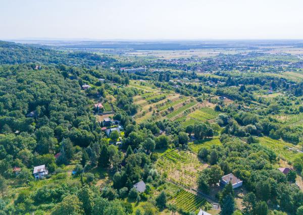 Na predaj slnečný pozemok s jedinečným výhľadom v Modre