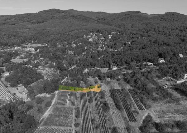 Na predaj slnečný pozemok s jedinečným výhľadom v Modre