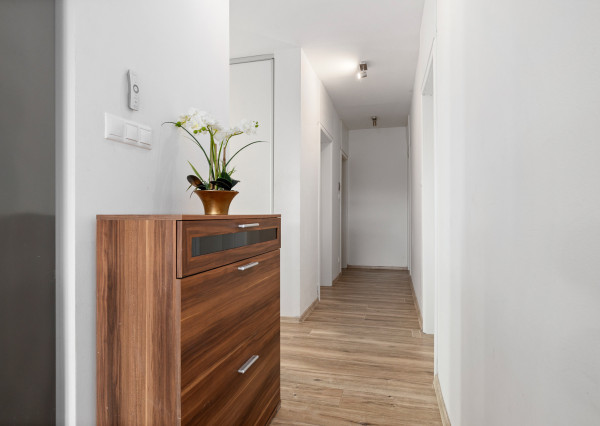 Na predaj moderný dom s terasou v Ružinove - Domové role