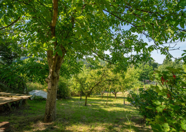 Na predaj rekreačný pozemok so záhradnou chatou v Stupave