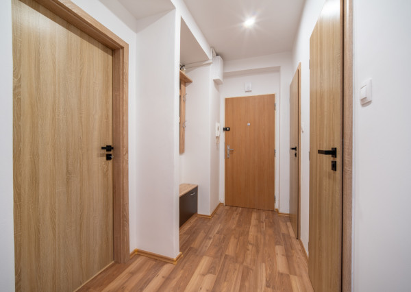 Na prenájom 3-izbový byt v Bratislave-Nové Mesto