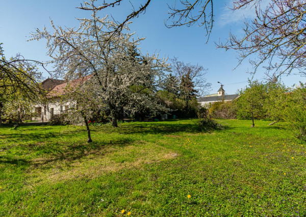REZERVOVANÉ:Na predaj historický dom s potenciálom pre podnikanie v centre Dunajskej Lužnej