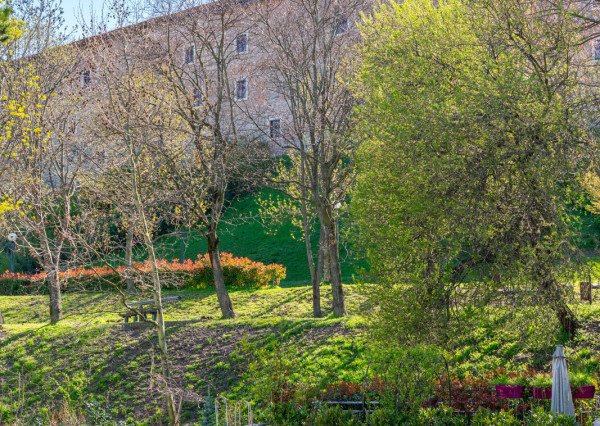 Na predaj priestranný 4-izbový byt pod hradom v centre Bratislavy