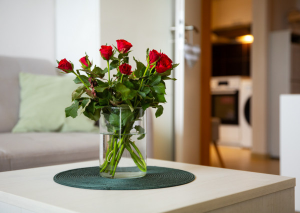 REZERVOVANÉ: Na predaj 2-izbový byt s krásnym výhľadom v Trenčíne