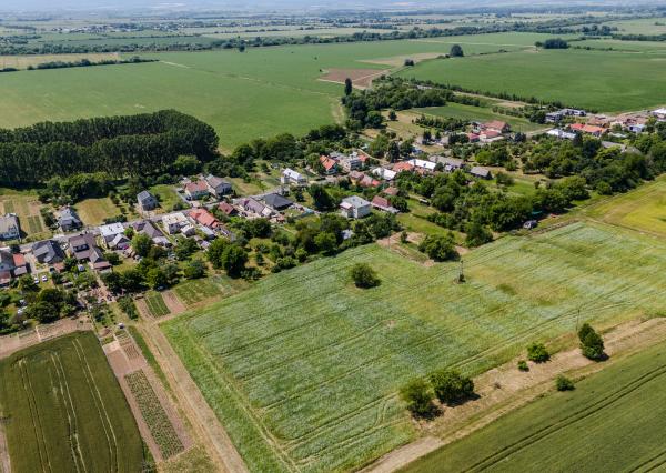 Na predaj obrovský pozemok v obci Moravany-Lučkovce v okrese Michalovce.
