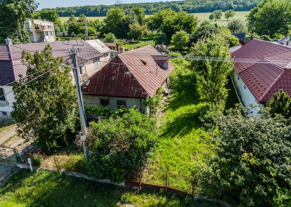 Na predaj obrovský pozemok v obci Moravany-Lučkovce v okrese Michalovce.